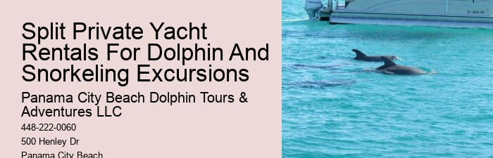 Panama City Beach dolphin expedition cruises