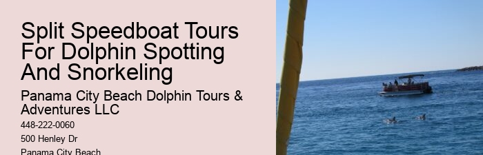 Shell Island Snorkeling & Dolphin Tours