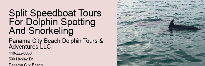 Dolphin Safari Tours PCB