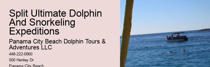 Panama City Beach Dolphin Tours Panama City Beach