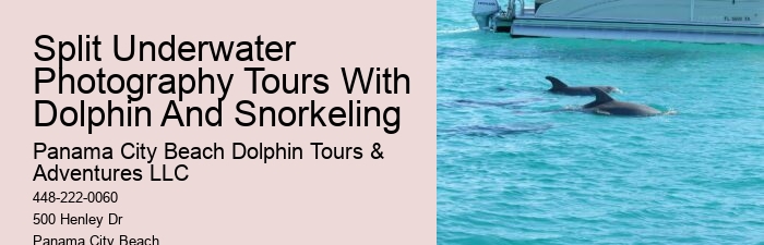 Snorkeling gear