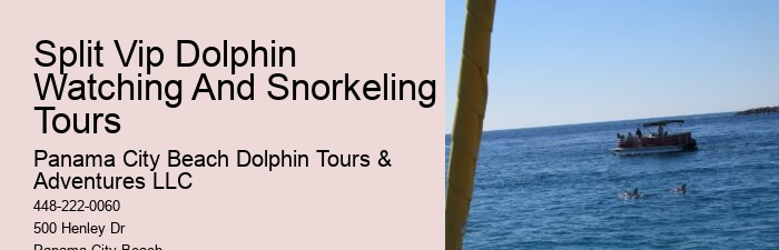 Split Budget-friendly Dolphin Snorkeling Excursions
