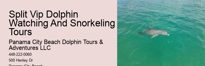 Panama City Beach wildlife tours including dolphins