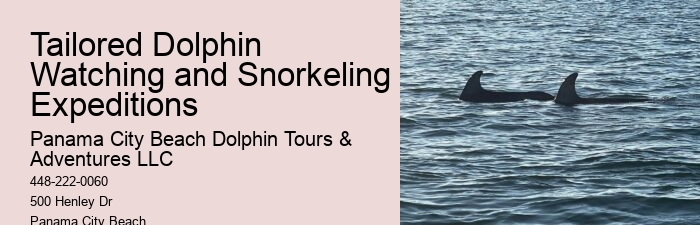 Palm Beach Dolphin Tours