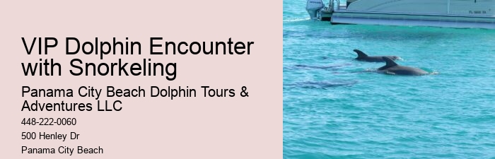 Panama City Beach Dolphin Boat Cruises