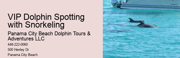 Sunset Dolphin Tours Panama City Beach Fl