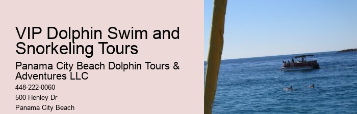 Split Charter Dolphin Tours