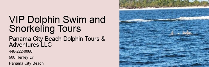 VIP Dolphin Encounter with Snorkeling