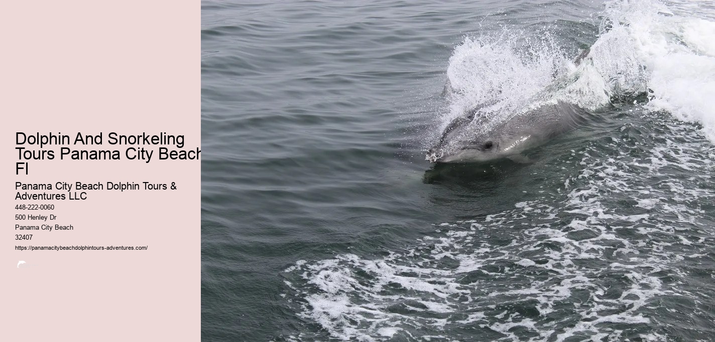 Shell Island Snorkeling Panama City Beach