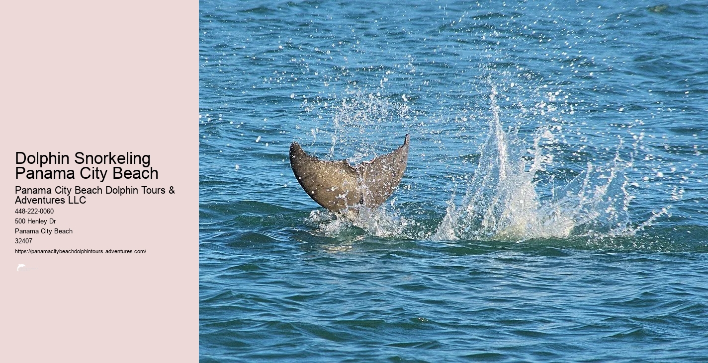 Panama City Beach Snorkeling Tour