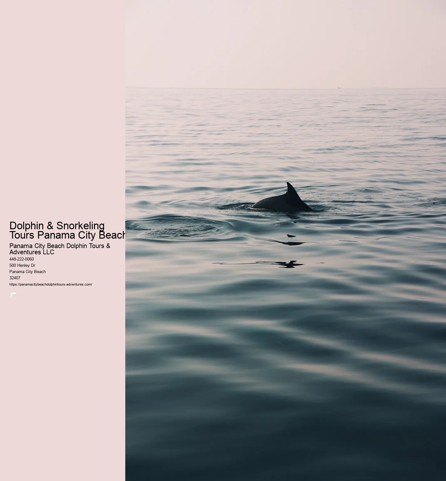 Panama City Beach Snorkeling Tour