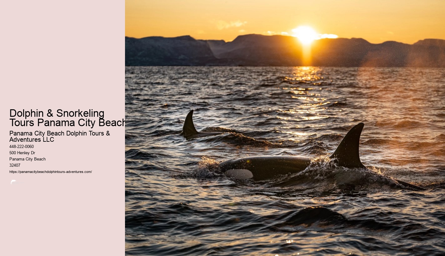 Dolphin & Snorkeling Tours Panama City Beach