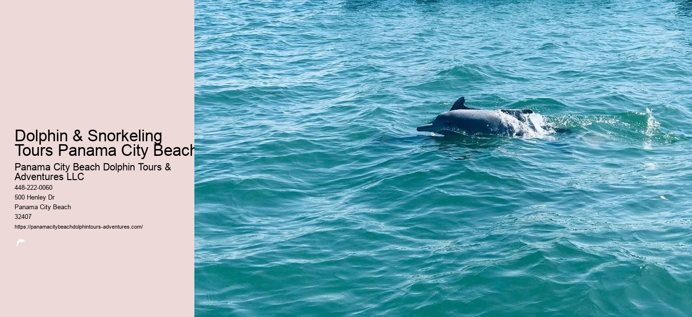 Shell Island Snorkel Cruise