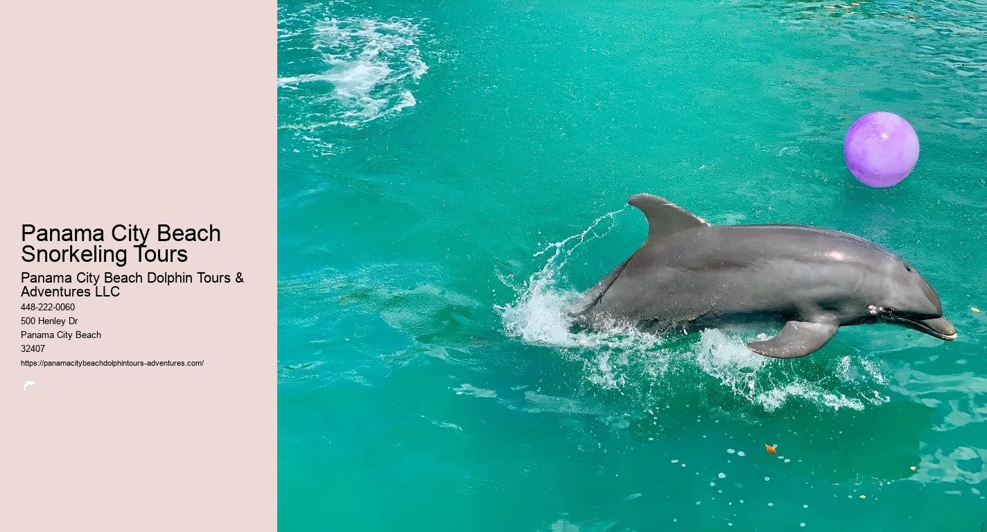 Dolphin & Snorkeling Tours Panama City Beach