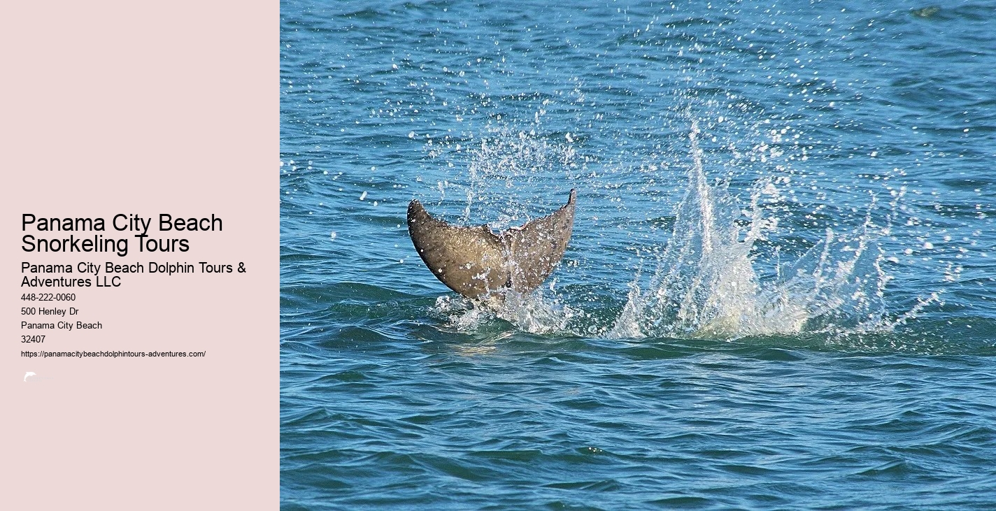 Snorkeling In Panama City Beach Florida