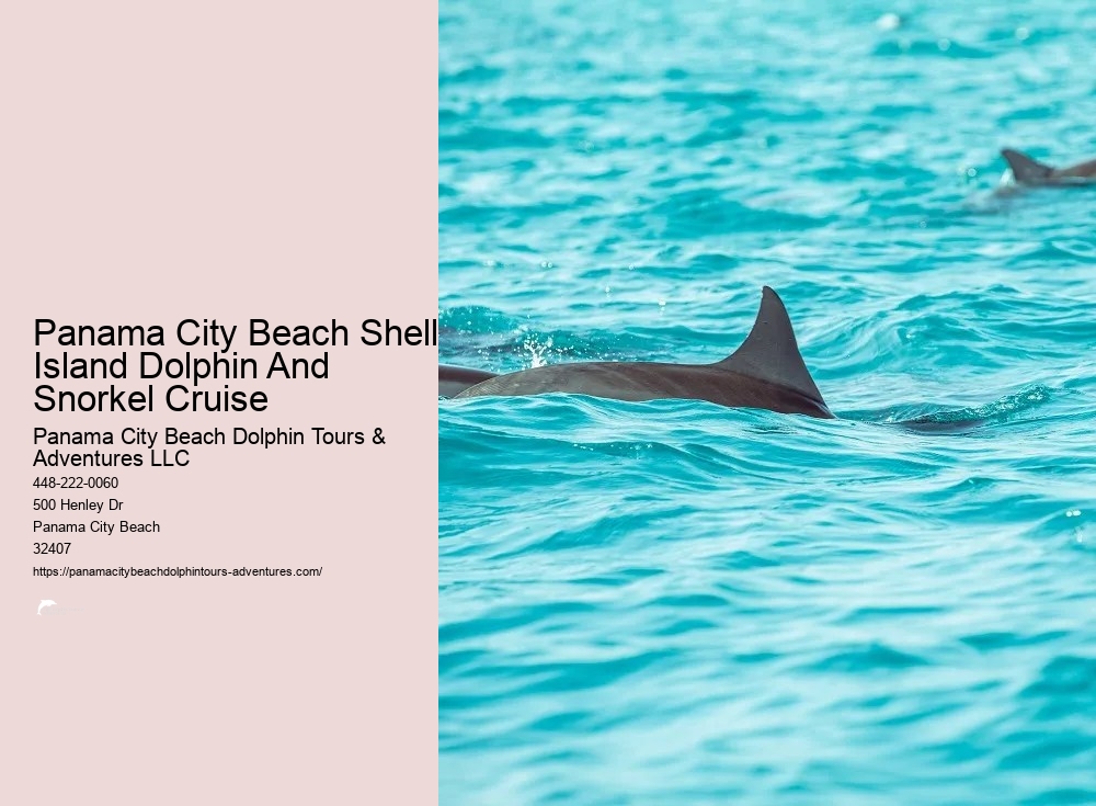 Dolphin And Snorkeling Tours Panama City Beach Fl