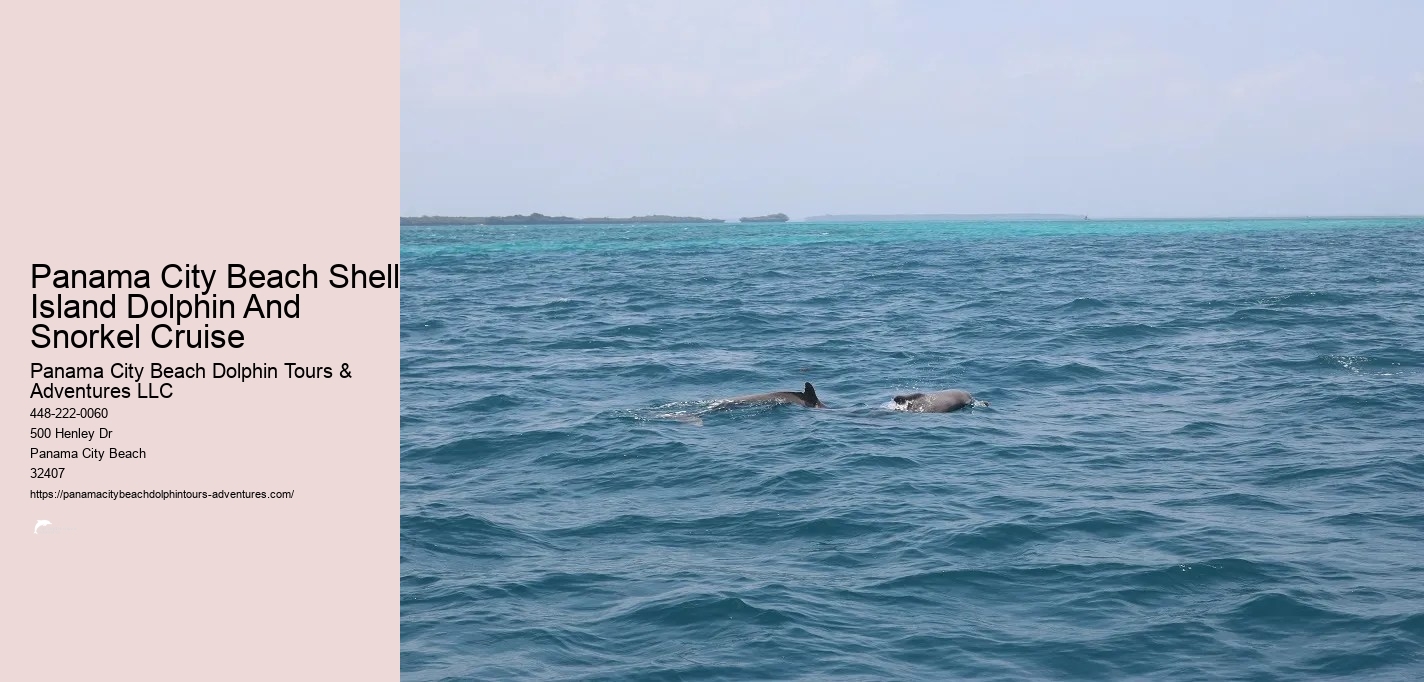 Dolphin & Snorkeling Tours Panama City Beach