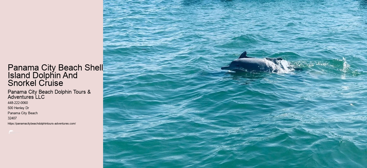 Panama City Beach Snorkeling Tour