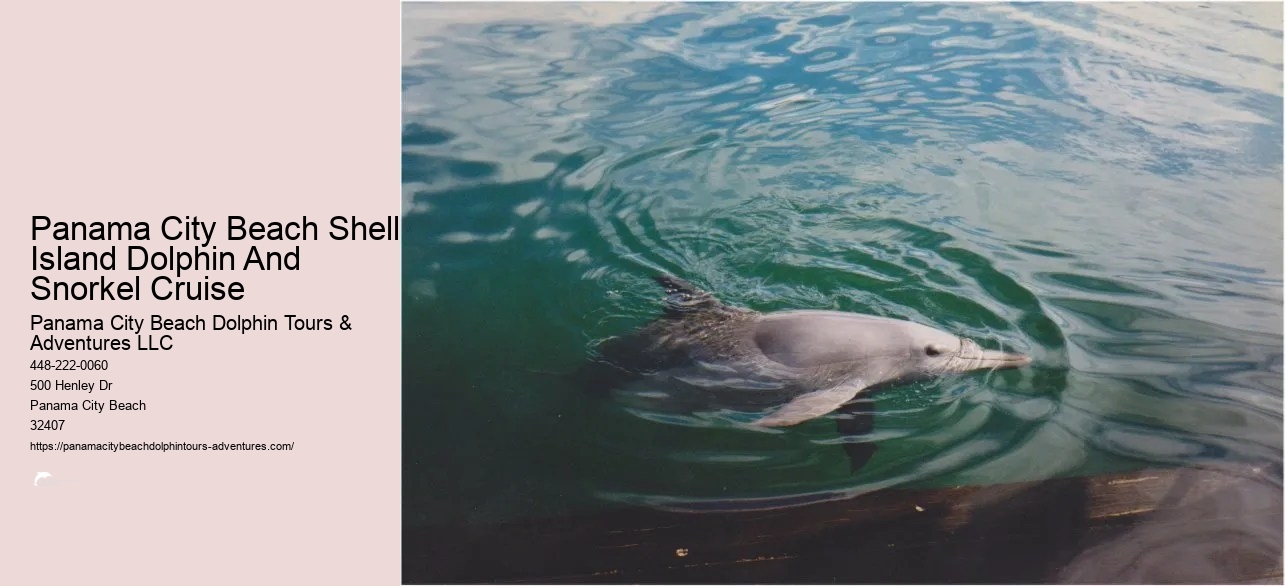 Panama City Beach Shell Island Dolphin And Snorkel Cruise