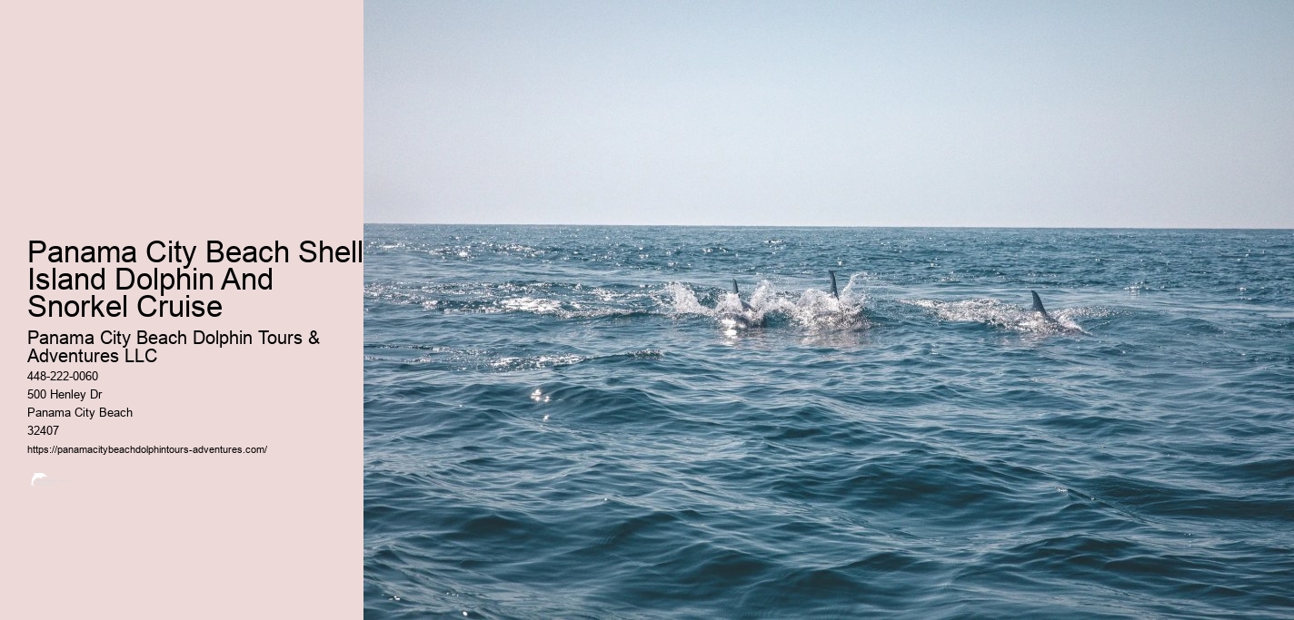 Shell Island Dolphin And Snorkeling Tour