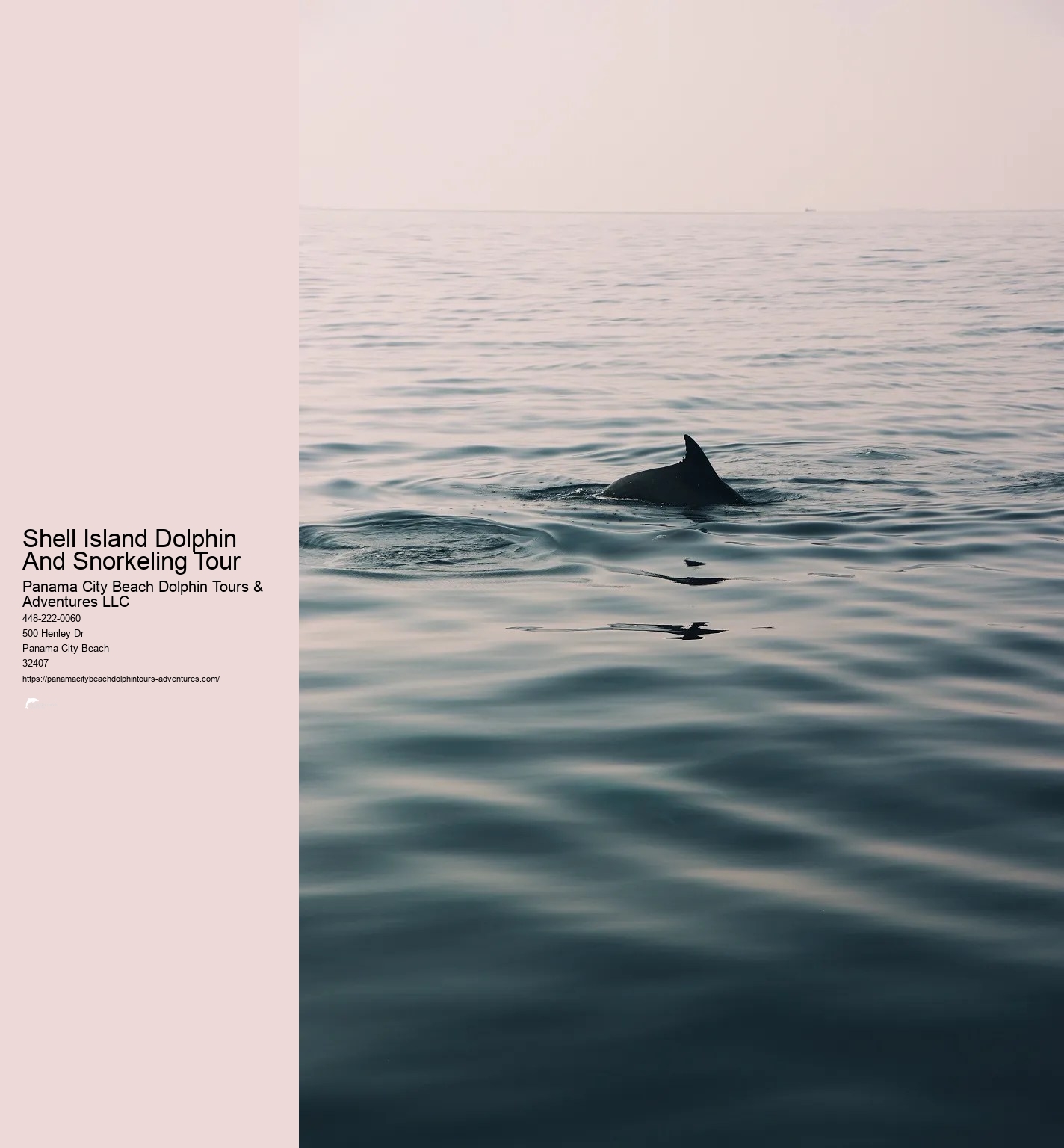 Shell Island Snorkeling