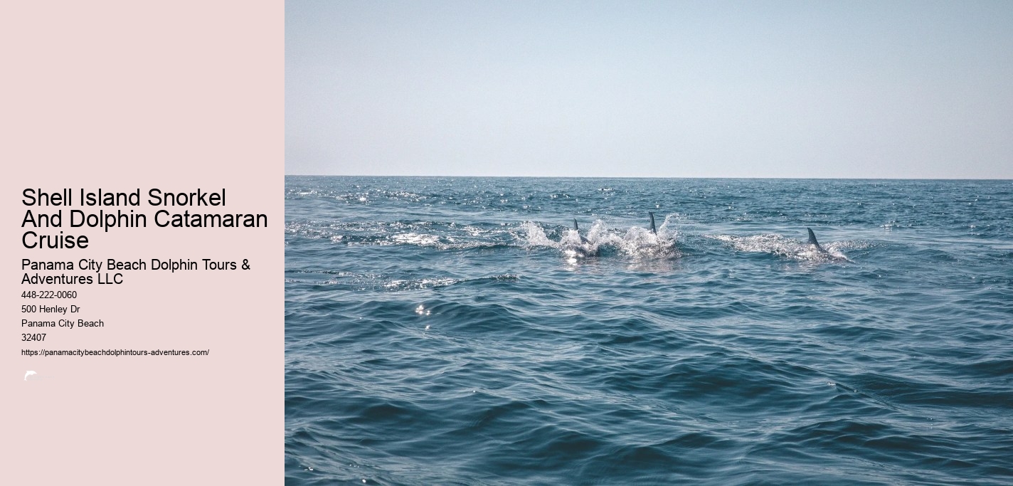 Panama City Beach Shell Island Dolphin And Snorkel Cruise