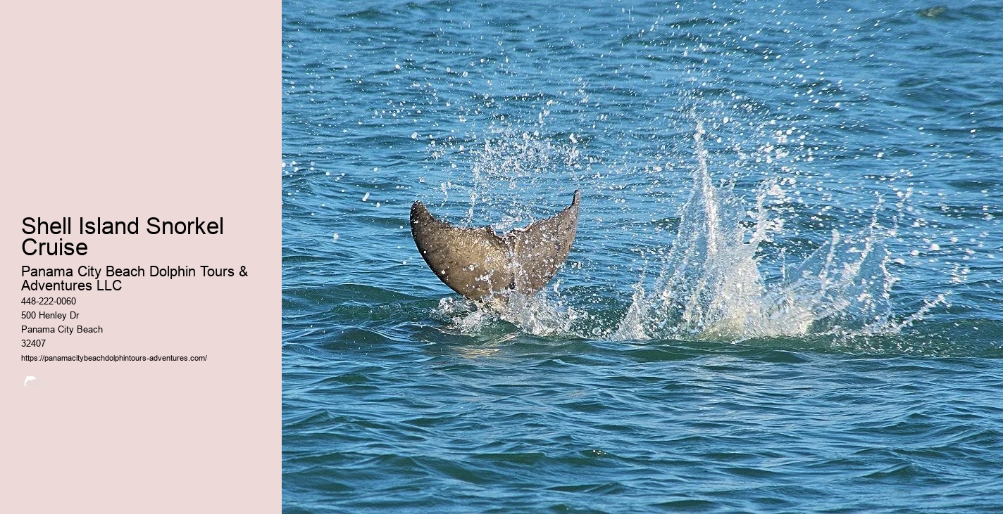 Snorkel Tour Panama City Beach