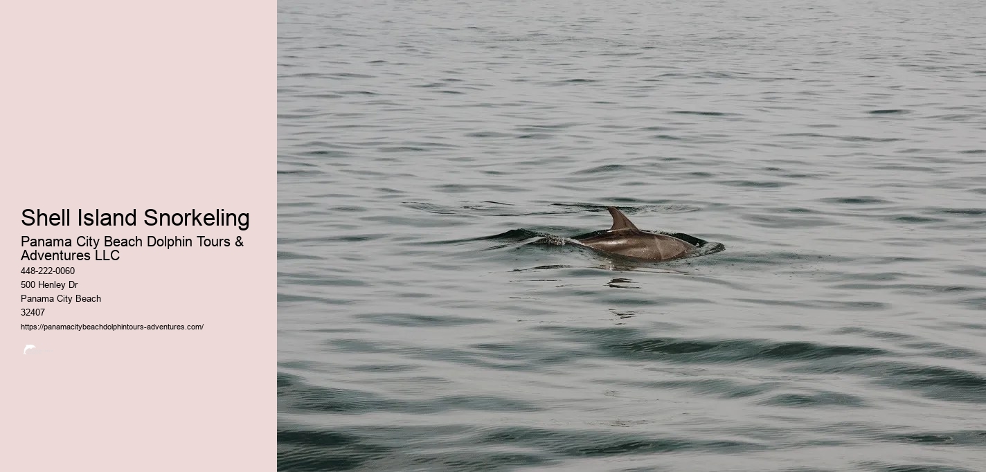 Panama City Beach Snorkeling Tours