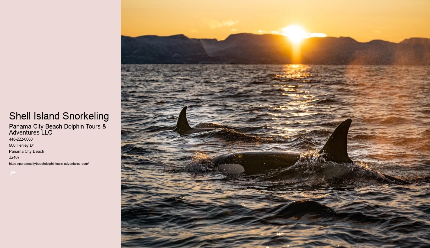 Panama City Beach Snorkeling Tour