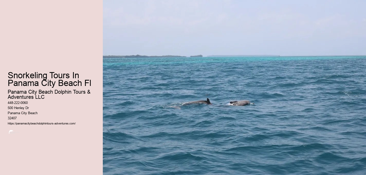 Panama City Beach Dolphin And Snorkeling Tours