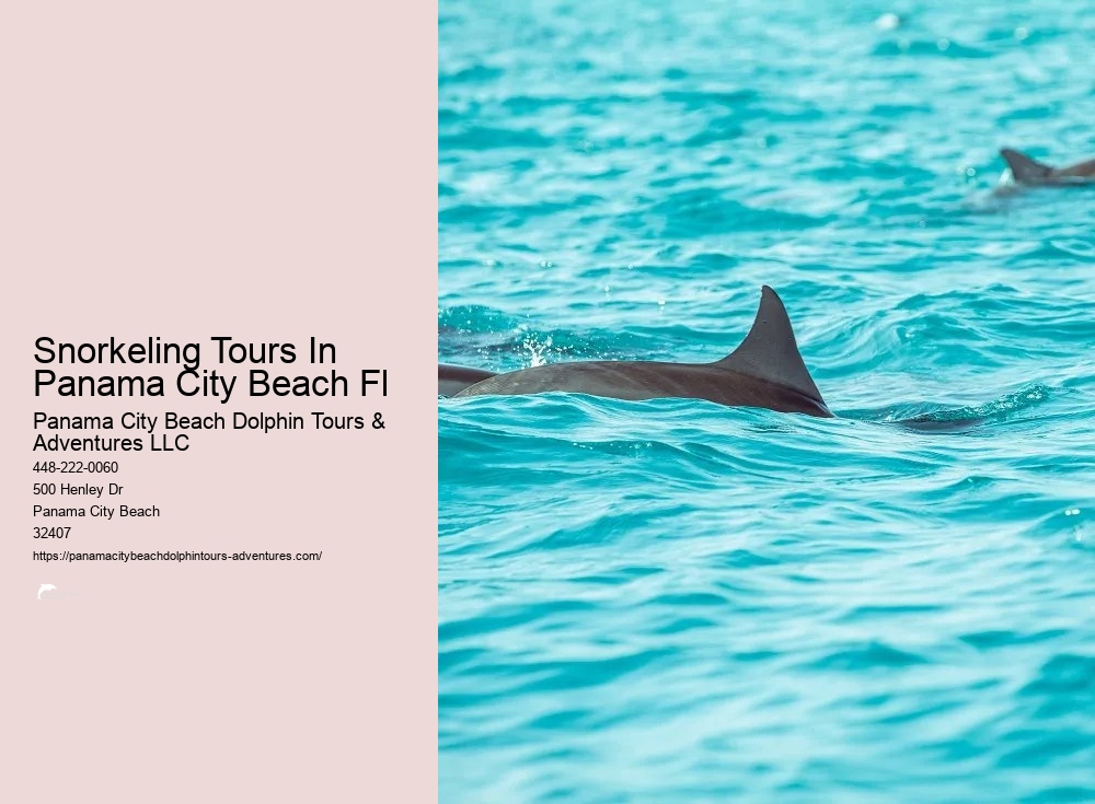 Panama City Beach Snorkeling Tours