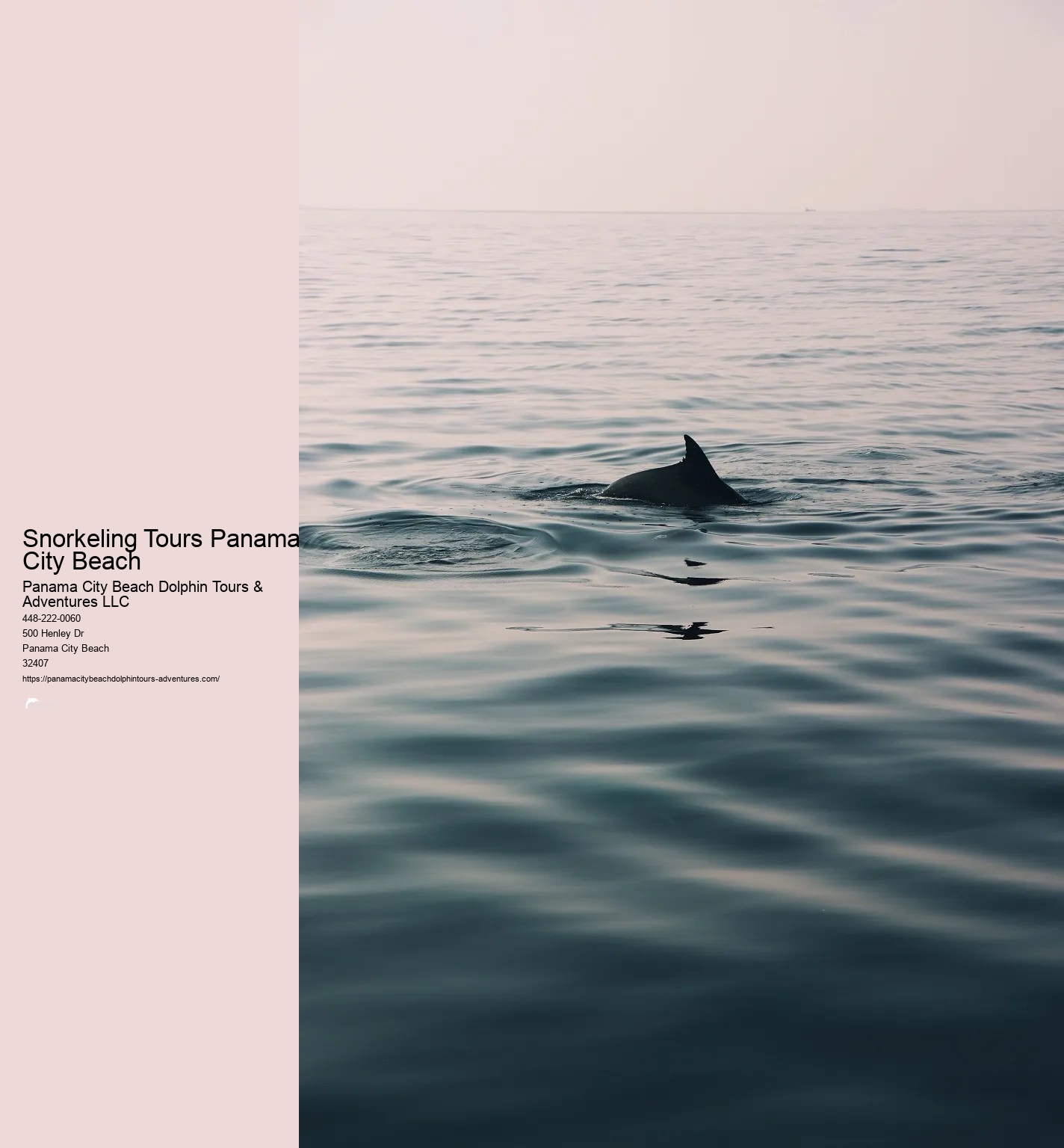 Snorkeling In Panama City Beach Florida